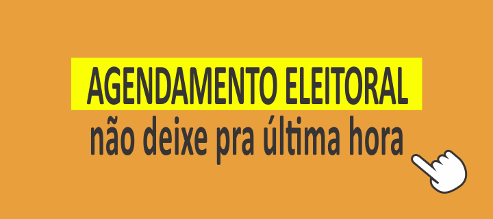 Eleitor pode agendar o atendimento pela internet